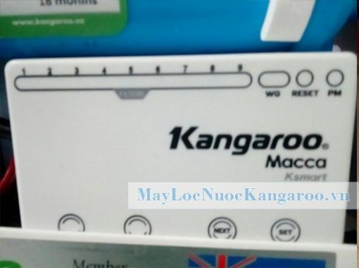 Bang Ksmart Kangaroo Macca.jpg