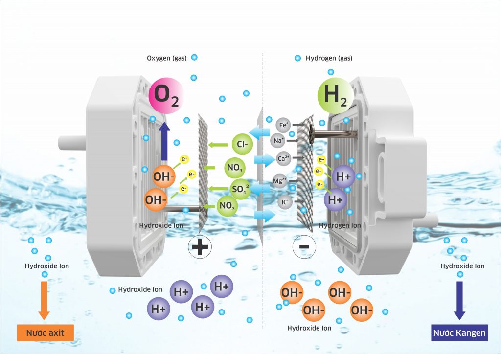 Máy lọc nước Hydrogen Ion Kiềm Kangaroo KG100ES