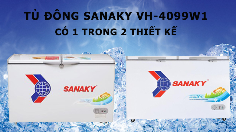 Tủ đông Sanaky VH-4099W1