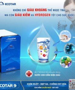 Máy Lọc Nước Ion Kiềm Giàu Hydro Geyser Ecotar 9