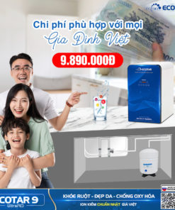 Máy lọc nước ion kiềm chi phí phù hợp với gia đình Việt