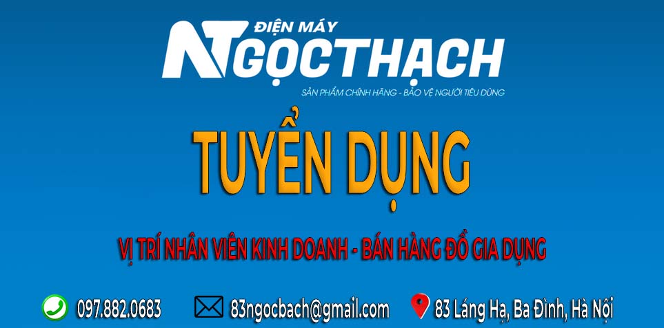 Tuyển dụng việc làm: [Tuyển dụng] Vị trí nhân viên kinh doanh – bán hàng đồ gia  Dien-may-ngoc-thach-tuyen-dung