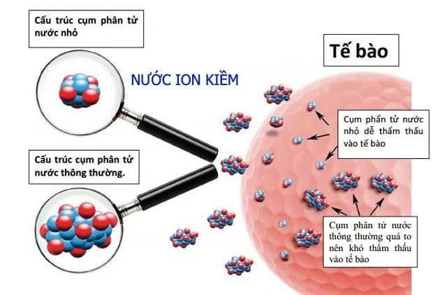 Máy Lọc Nước Ion Kiềm Giàu Hydro Atica Maxell Mhy Aws5 – Phiên Bản Quốc Tế