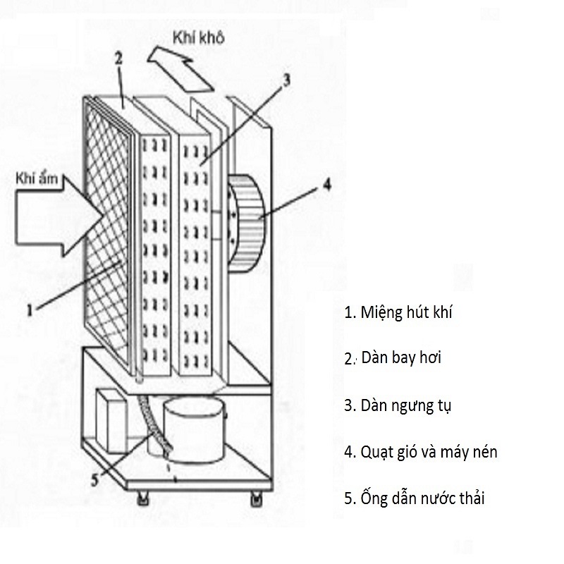 Bí Mật Máy Hút Ẩm Ngưng Tụ: Cách Hoạt Động Và Những Điều Bạn Chưa Biết!