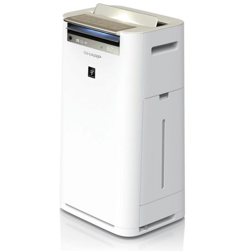 Máy Lọc Không Khí Sharp Kết Hợp Tạo ẩm Kc G60ev W