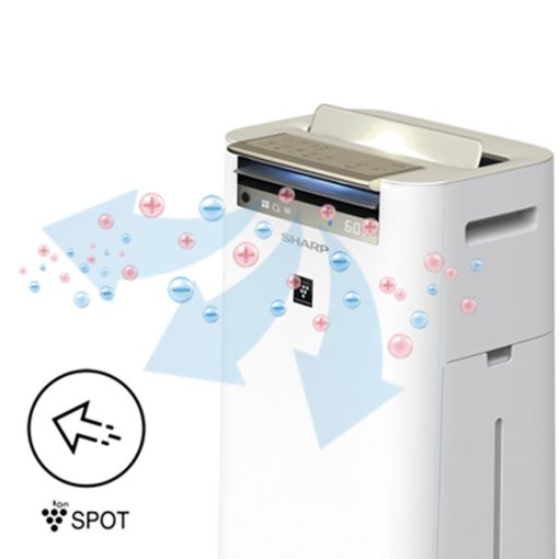 Máy Lọc Không Khí Sharp Kết Hợp Tạo ẩm Kc G60ev W