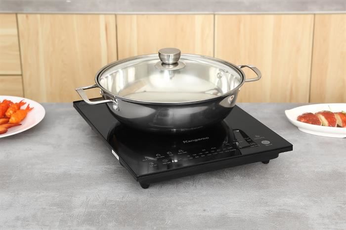 kangaroo kgic22s2 8 638731624995951611 700x467 1