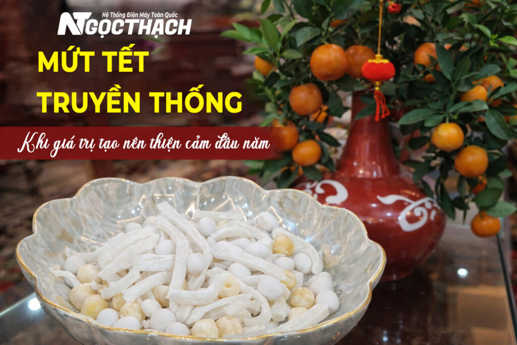 Mứt Tết Truyền Thống – Hương Vị Xuân Gắn Kết Sum Vầy | Điện Máy Ngọc Thạch