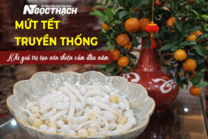 Mứt Tết Truyền Thống – Hương Vị Xuân Gắn Kết Sum Vầy | Điện Máy Ngọc Thạch