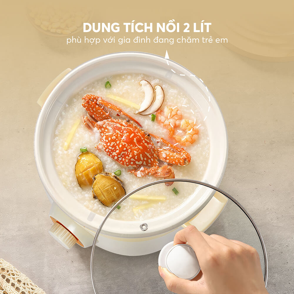 Nồi Nấu Chậm Elmich Sce 8525 (nồi Hầm)